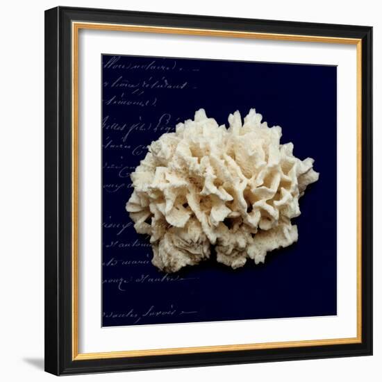 Nautical Blue Coral-Julie Greenwood-Framed Art Print