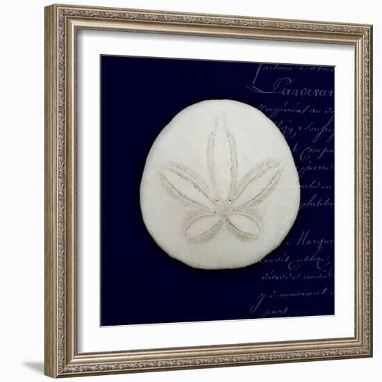 Nautical Blue Sand Dollar-Julie Greenwood-Framed Art Print