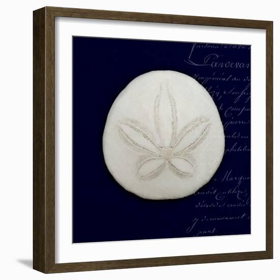 Nautical Blue Sand Dollar-Julie Greenwood-Framed Art Print