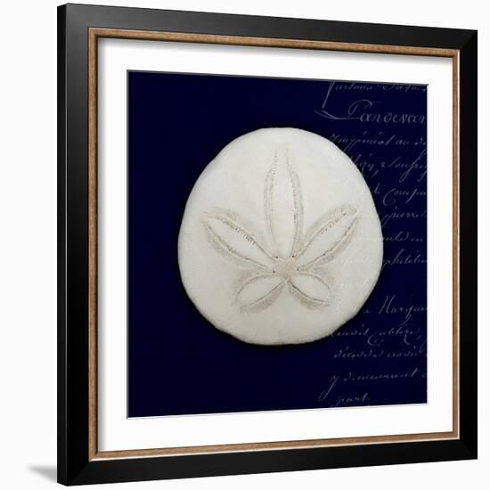 Nautical Blue Sand Dollar-Julie Greenwood-Framed Art Print