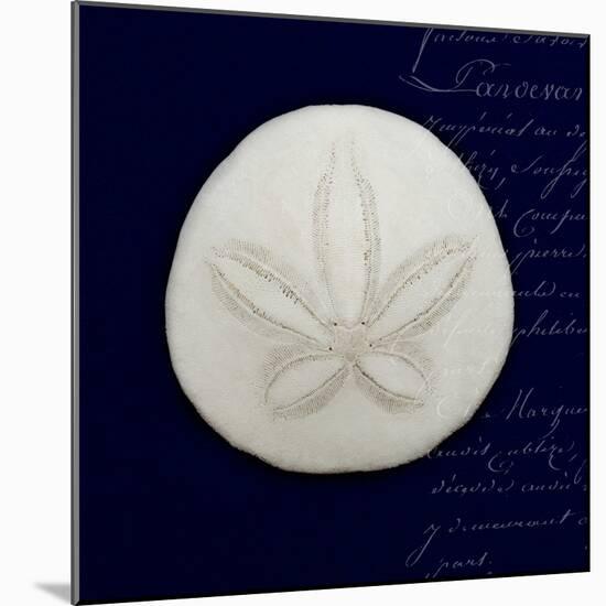 Nautical Blue Sand Dollar-Julie Greenwood-Mounted Art Print