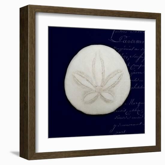 Nautical Blue Sand Dollar-Julie Greenwood-Framed Art Print