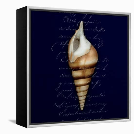 Nautical Blue Shell-Julie Greenwood-Framed Stretched Canvas