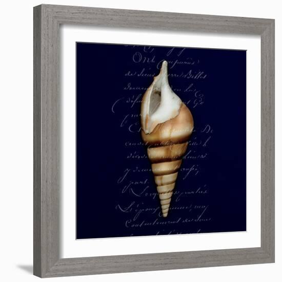 Nautical Blue Shell-Julie Greenwood-Framed Art Print