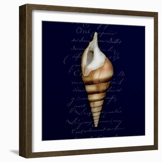 Nautical Blue Shell-Julie Greenwood-Framed Art Print