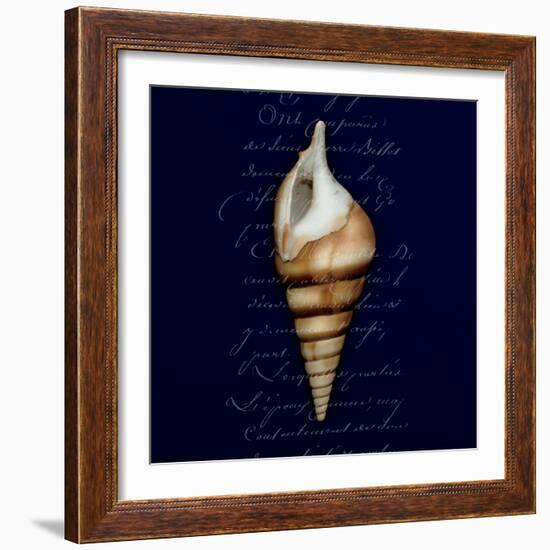 Nautical Blue Shell-Julie Greenwood-Framed Art Print