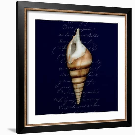 Nautical Blue Shell-Julie Greenwood-Framed Art Print