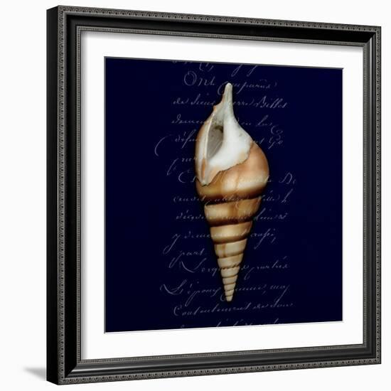 Nautical Blue Shell-Julie Greenwood-Framed Art Print