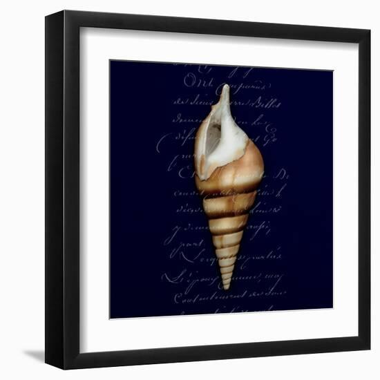 Nautical Blue Shell-Julie Greenwood-Framed Art Print