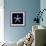 Nautical Blue Starfish-Julie Greenwood-Framed Art Print displayed on a wall