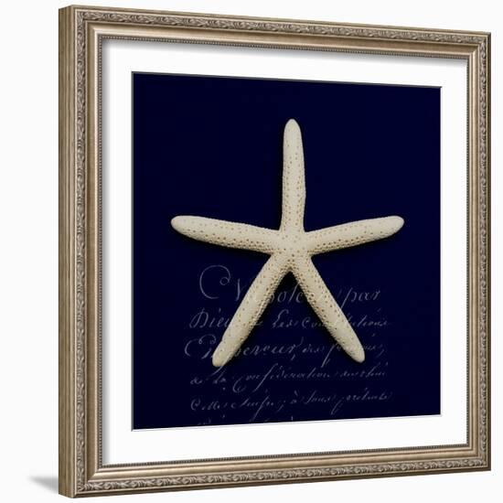 Nautical Blue Starfish-Julie Greenwood-Framed Art Print