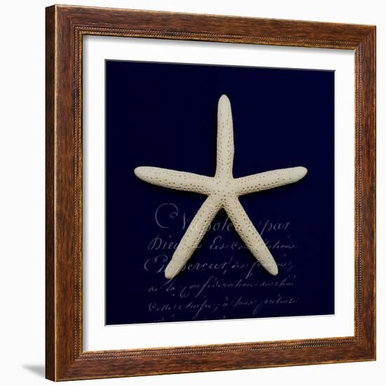 Nautical Blue Starfish-Julie Greenwood-Framed Art Print