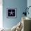 Nautical Blue Starfish-Julie Greenwood-Framed Art Print displayed on a wall