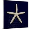 Nautical Blue Starfish-Julie Greenwood-Mounted Art Print