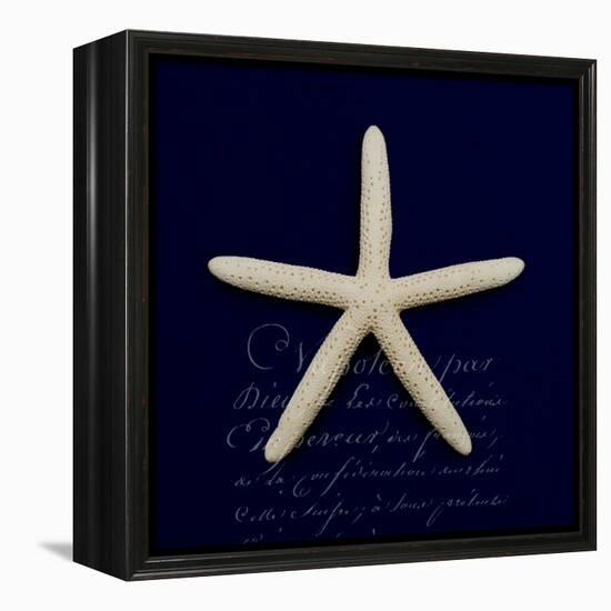 Nautical Blue Starfish-Julie Greenwood-Framed Stretched Canvas