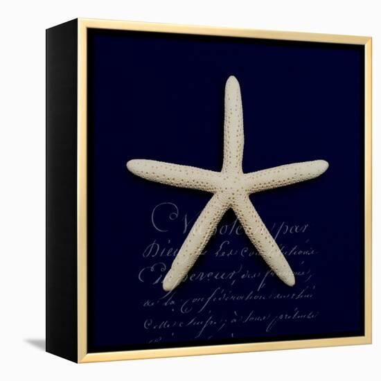 Nautical Blue Starfish-Julie Greenwood-Framed Stretched Canvas