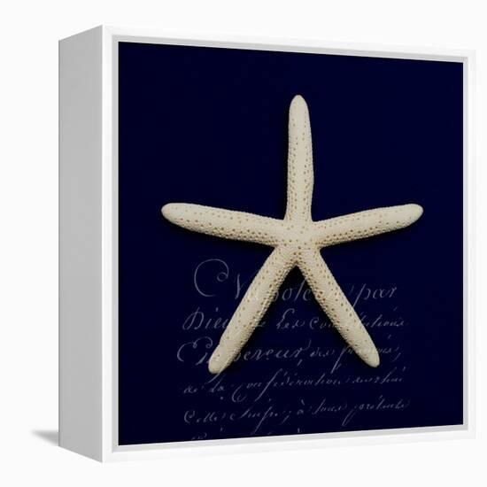 Nautical Blue Starfish-Julie Greenwood-Framed Stretched Canvas