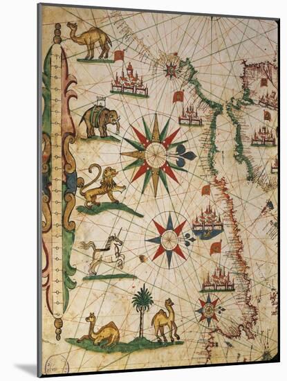 Nautical Chart of Northern Africa with Depiction of Animals and Wind Rose-Pietro Giovanni Prunus-Mounted Giclee Print