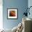 Nautical Closeups 12-Carlos Casamayor-Framed Giclee Print displayed on a wall