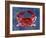 Nautical Crab 1-Albert Koetsier-Framed Art Print