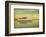 Nautical Escapes 1-Carlos Casamayor-Framed Giclee Print