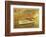 Nautical Escapes 6-Carlos Casamayor-Framed Giclee Print