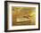 Nautical Escapes 6-Carlos Casamayor-Framed Giclee Print