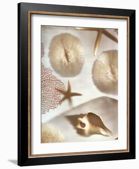 Nautical Illuminations No.1-Alan Blaustein-Framed Photographic Print