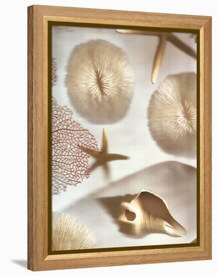 Nautical Illuminations No.1-Alan Blaustein-Framed Premier Image Canvas