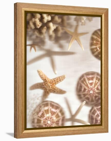 Nautical Illuminations No.3-Alan Blaustein-Framed Premier Image Canvas