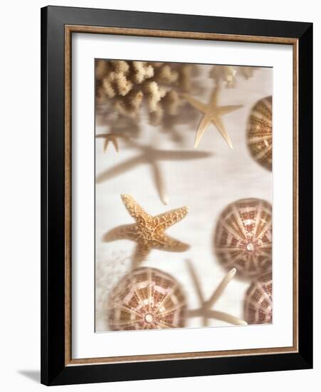 Nautical Illuminations No.3-Alan Blaustein-Framed Photographic Print