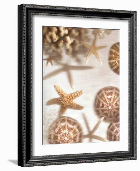 Nautical Illuminations No.3-Alan Blaustein-Framed Photographic Print