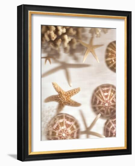 Nautical Illuminations No.3-Alan Blaustein-Framed Photographic Print