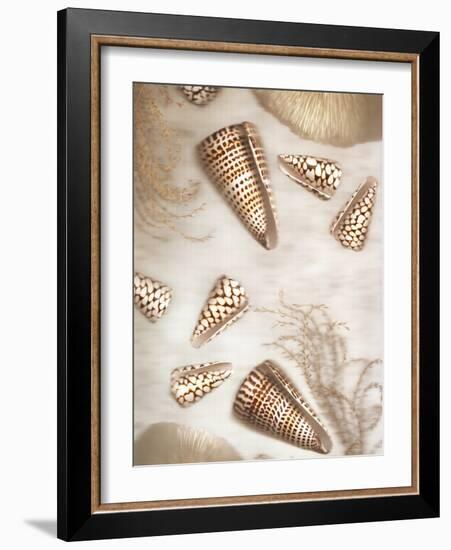 Nautical Illuminations No.4-Alan Blaustein-Framed Photographic Print