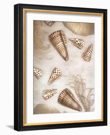 Nautical Illuminations No.4-Alan Blaustein-Framed Photographic Print