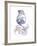 Nautical Ink IV-Ken Hurd-Framed Giclee Print