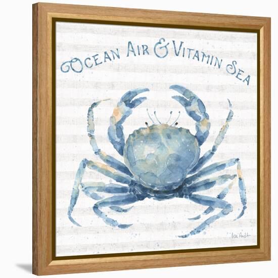 Nautical Life X-Lisa Audit-Framed Stretched Canvas