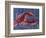 Nautical Lobster 1-Albert Koetsier-Framed Art Print