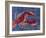 Nautical Lobster 1-Albert Koetsier-Framed Art Print