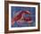 Nautical Lobster 1-Albert Koetsier-Framed Art Print