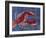 Nautical Lobster 1-Albert Koetsier-Framed Art Print