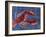 Nautical Lobster 1-Albert Koetsier-Framed Art Print