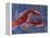 Nautical Lobster 1-Albert Koetsier-Framed Stretched Canvas