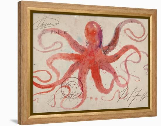 Nautical Octopus - Horizontal-Angela Staehling-Framed Stretched Canvas