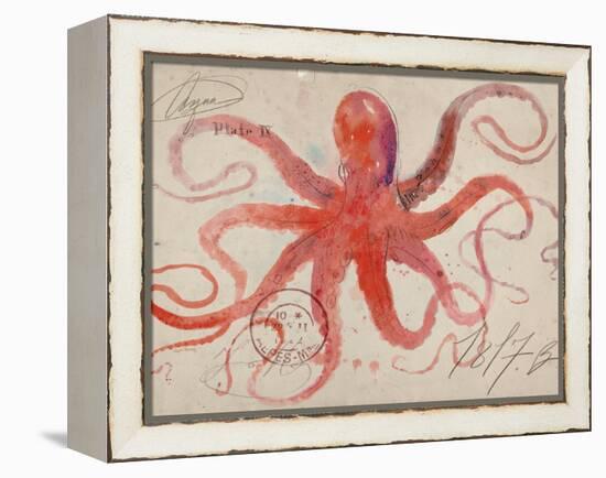 Nautical Octopus - Horizontal-Angela Staehling-Framed Stretched Canvas