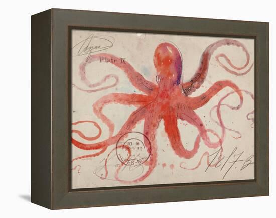 Nautical Octopus - Horizontal-Angela Staehling-Framed Stretched Canvas