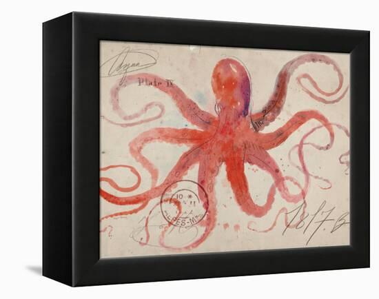 Nautical Octopus - Horizontal-Angela Staehling-Framed Stretched Canvas