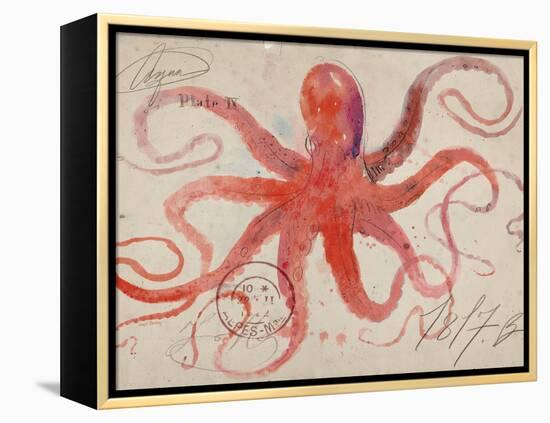 Nautical Octopus - Horizontal-Angela Staehling-Framed Stretched Canvas