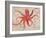 Nautical Octopus - Horizontal-Angela Staehling-Framed Premium Giclee Print