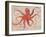 Nautical Octopus - Horizontal-Angela Staehling-Framed Premium Giclee Print